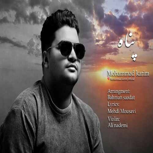 محمد کریم پناه